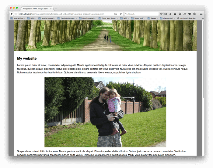 picture-element-wide.png